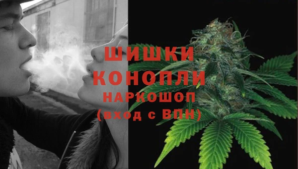 мдпв Корсаков
