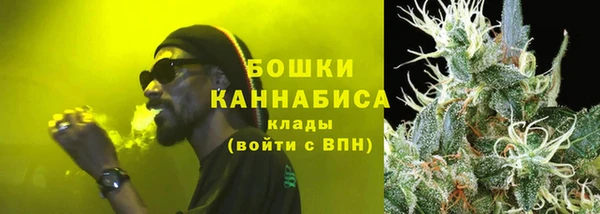 молекула духа Костерёво