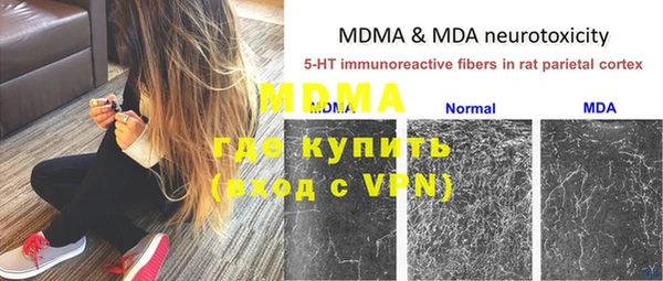 молекула духа Костерёво