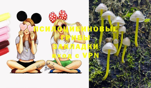 синтетический гашиш Коряжма