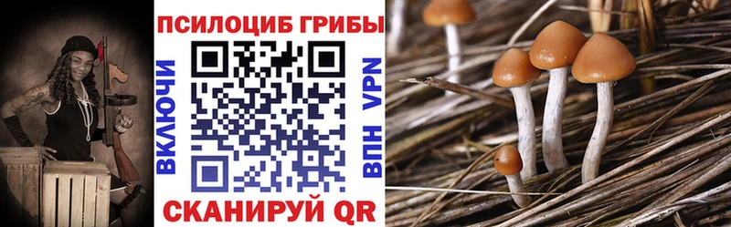 Галлюциногенные грибы Cubensis  Купить закладки  Ярославль 